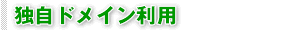�Ǝ��h���C�����p