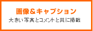 �摜���L���v�V�����@�傫���ʐ^�ƃR�����g�Ƌ��Ɍf��