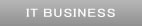 IT BUSINESS