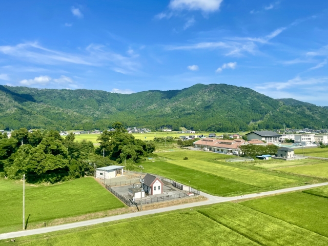 耕作放棄地を活用する方法とは？ 取り組みの成功事例も紹介