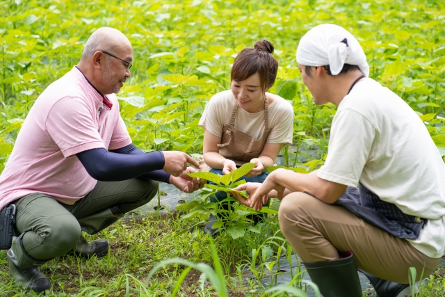 自己成長のチャンス！地方公務員の副業規制緩和について徹底解説